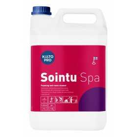 PuhdistusaineKiilto Sointu Spa 5L