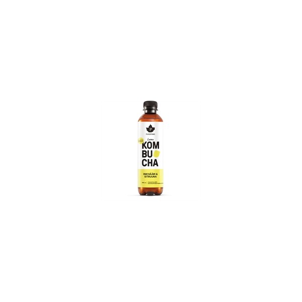 Kombucha Puhdistamo inkivääri-sitruuna 400 ml (ei sis. pant)