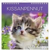 Seinäkalenteri 2026 Kissanpennut