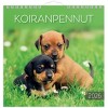 Seinäkalenteri 2026 Koiranpennut