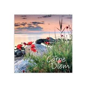 Seinäkalenteri 2026 Carpe Diem