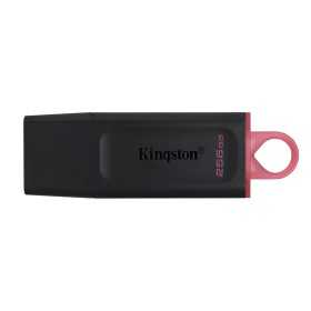 Kingston Technology DataTraveler Exodia USB flash drive