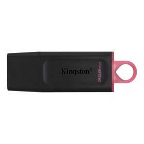 Kingston DataTraveler Exodia 256 Gt USB-muisti