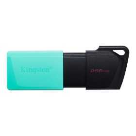 Kingston DataTraveler Exodia M 256 GB USB-muistitikku