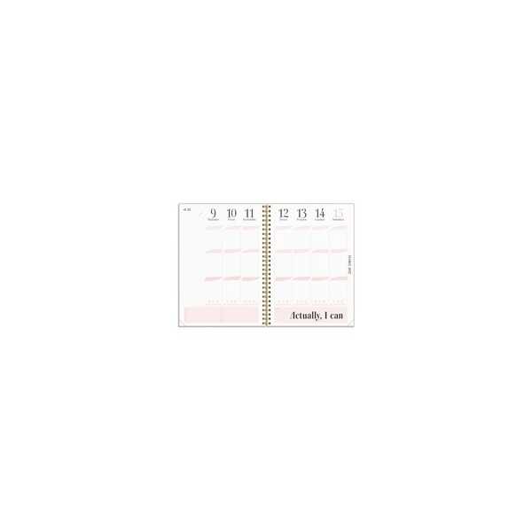 Life Planner Pink 2027 