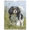 Koirat 2027 