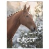 Hevoset 2027 