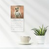 Koiranpennut 2027 