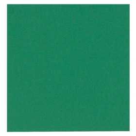 Lautasliina Gastro 24x24 2krs vih /100 
