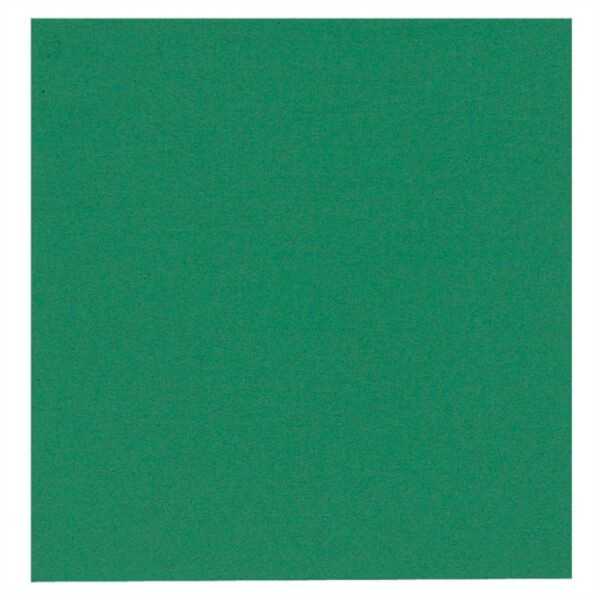Lautasliina Gastro 24x24 2krs vih /100 