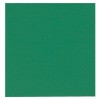 Lautasliina Gastro 24x24 2krs vih /100 