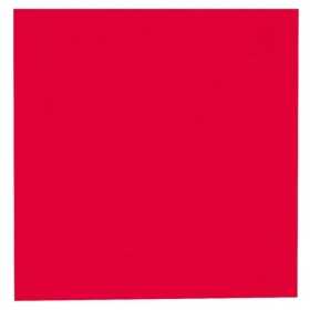 Lautasliina Gastro 24x24 2krs pun /100 