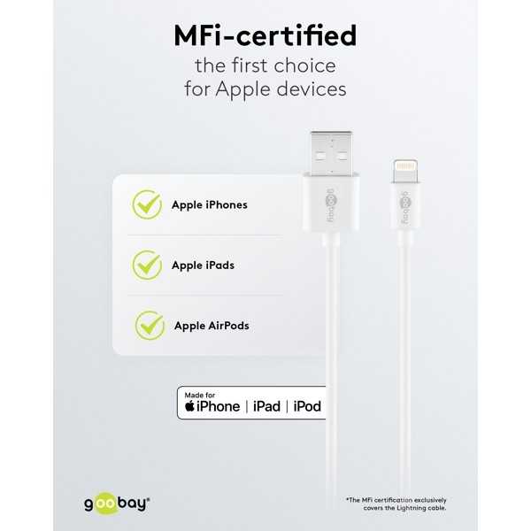 12 W:n kaksoislaturi Apple Lightning -laturilla