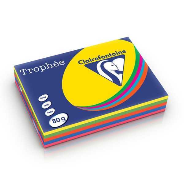 TROPHEE 1704 PAPERIA4 80G LAJIT. KIRKAS