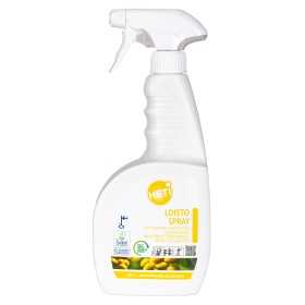 Lasinpesuaine Heti Loisto Spray 750ml