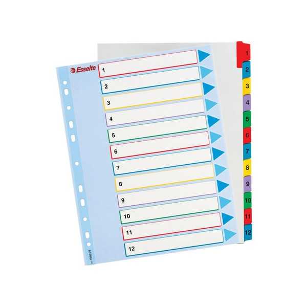 PROJEKTIREKISTERI MYLAR A4 MAXI 1-12