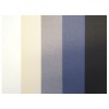 CANSON INGRES VIDALON 50X65 100G WHITE