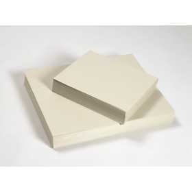 KASVIPAPERI 40 X 48CM 140G /250